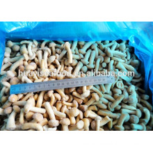 good price best fresh frozen nameko mushroom